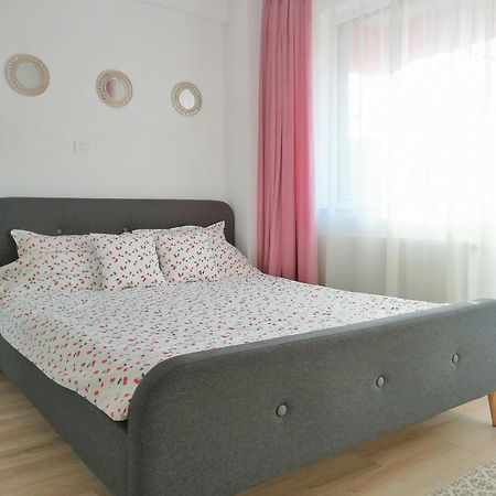 Cozy Apartment Bujorilor スチャヴァ エクステリア 写真