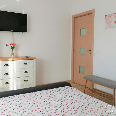 Cozy Apartment Bujorilor スチャヴァ エクステリア 写真