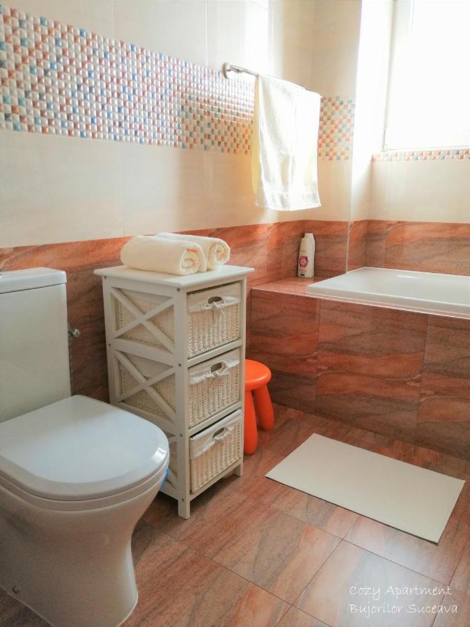 Cozy Apartment Bujorilor スチャヴァ エクステリア 写真