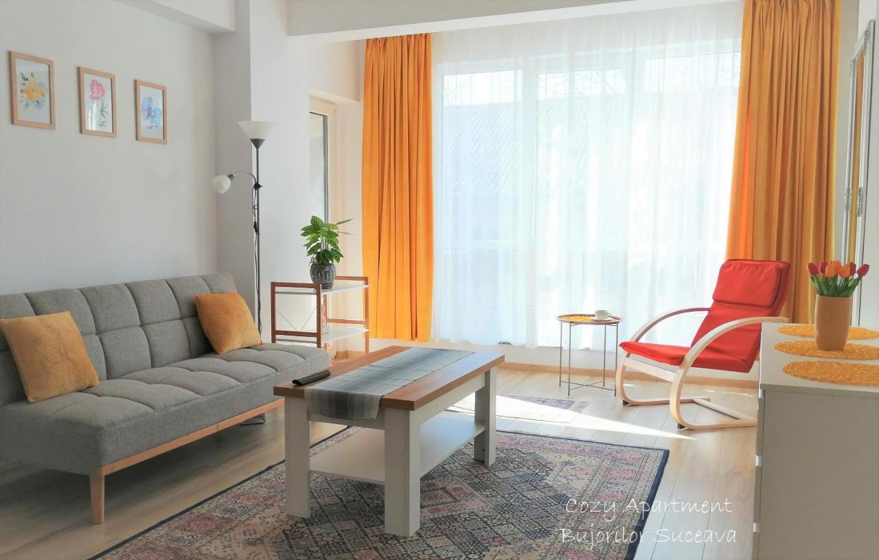 Cozy Apartment Bujorilor スチャヴァ エクステリア 写真
