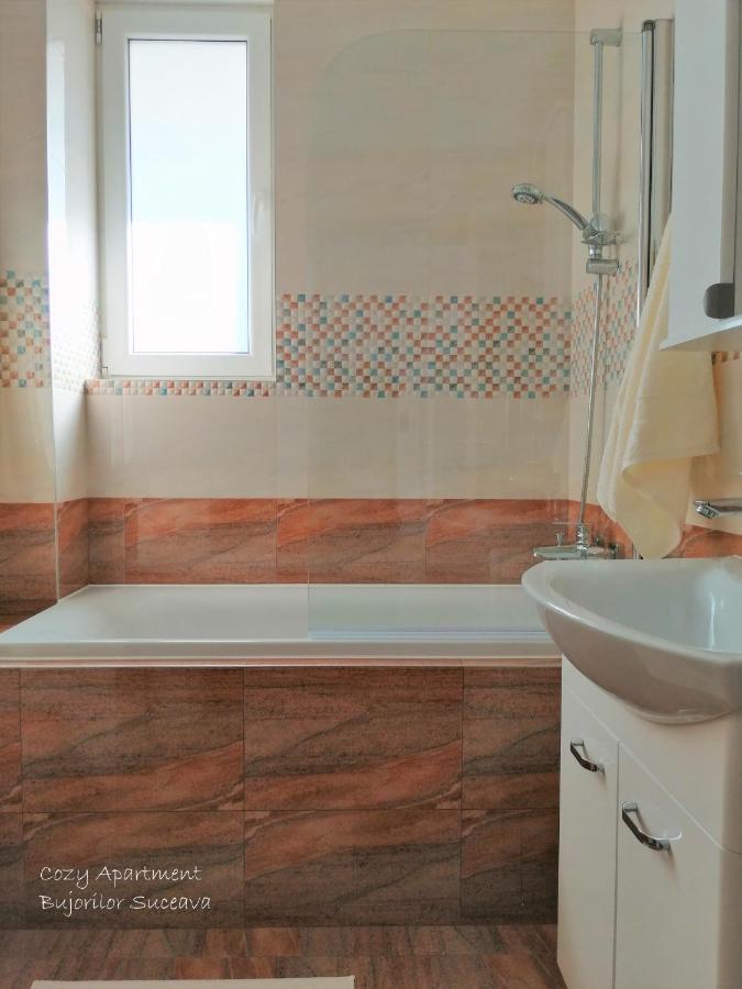Cozy Apartment Bujorilor スチャヴァ エクステリア 写真