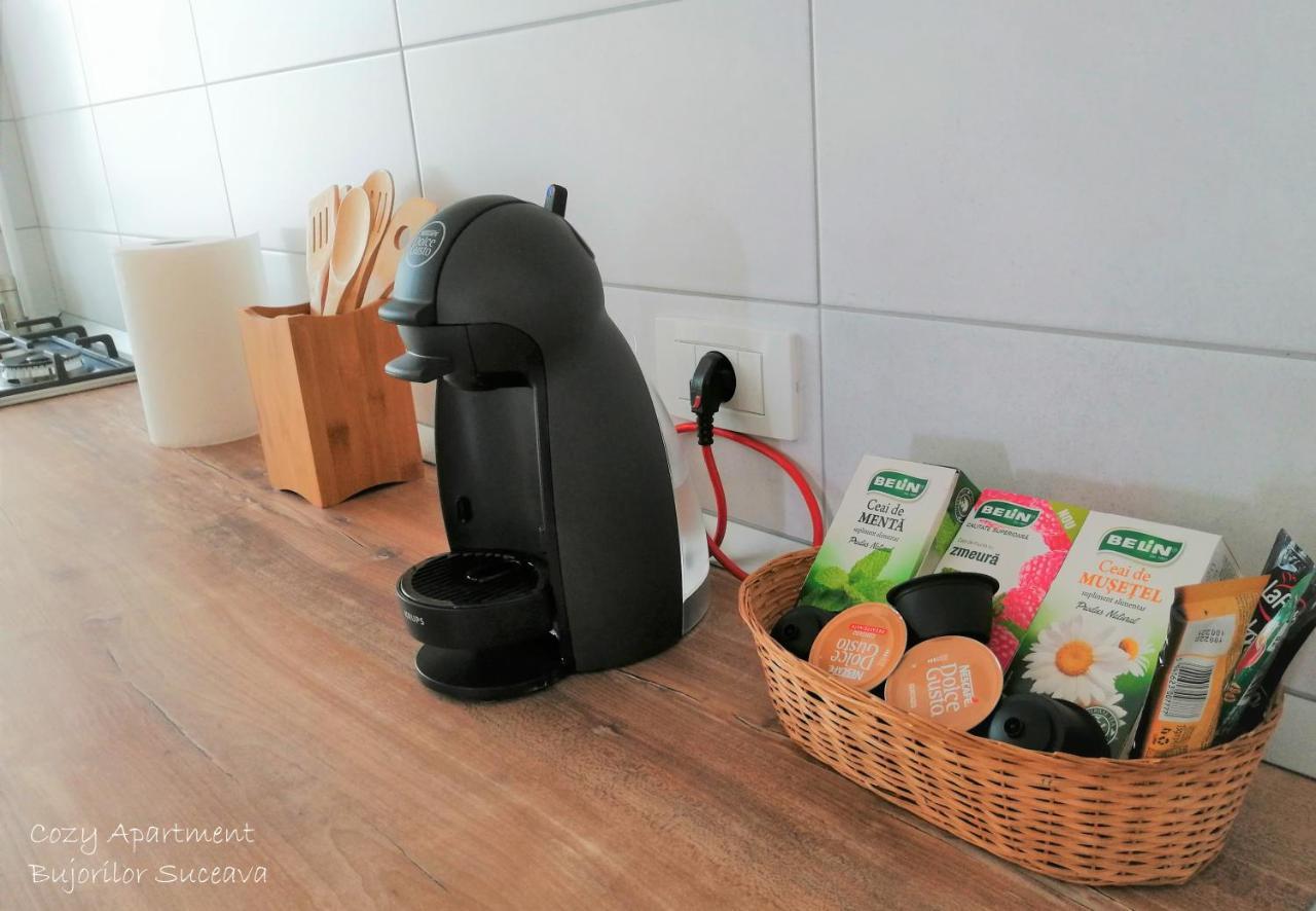 Cozy Apartment Bujorilor スチャヴァ エクステリア 写真
