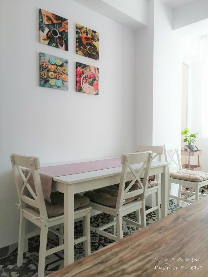 Cozy Apartment Bujorilor スチャヴァ エクステリア 写真