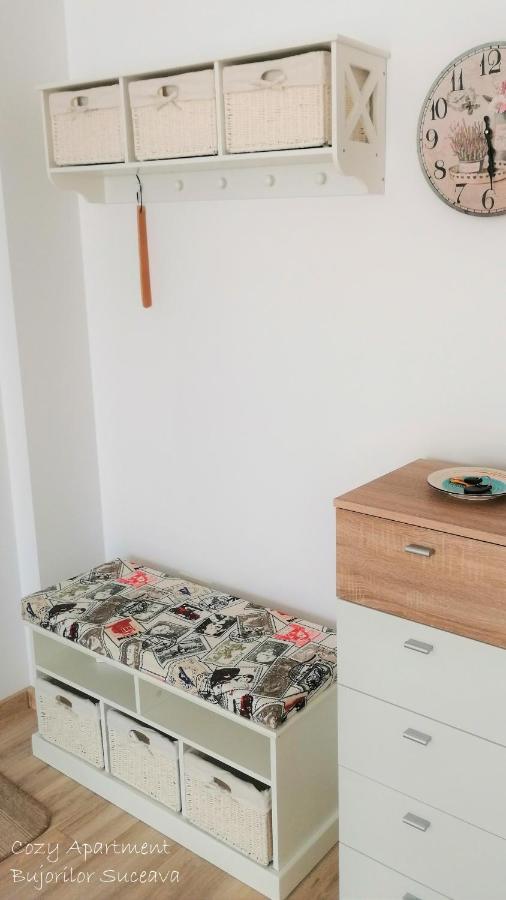 Cozy Apartment Bujorilor スチャヴァ エクステリア 写真