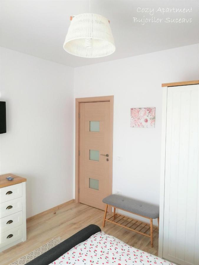 Cozy Apartment Bujorilor スチャヴァ エクステリア 写真