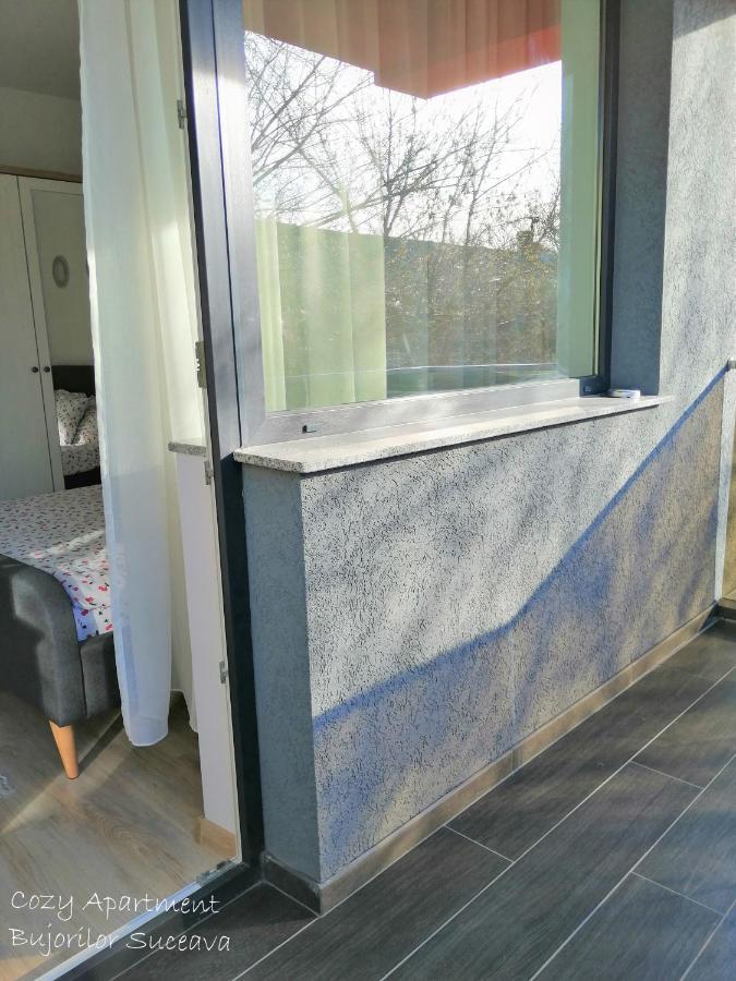 Cozy Apartment Bujorilor スチャヴァ エクステリア 写真