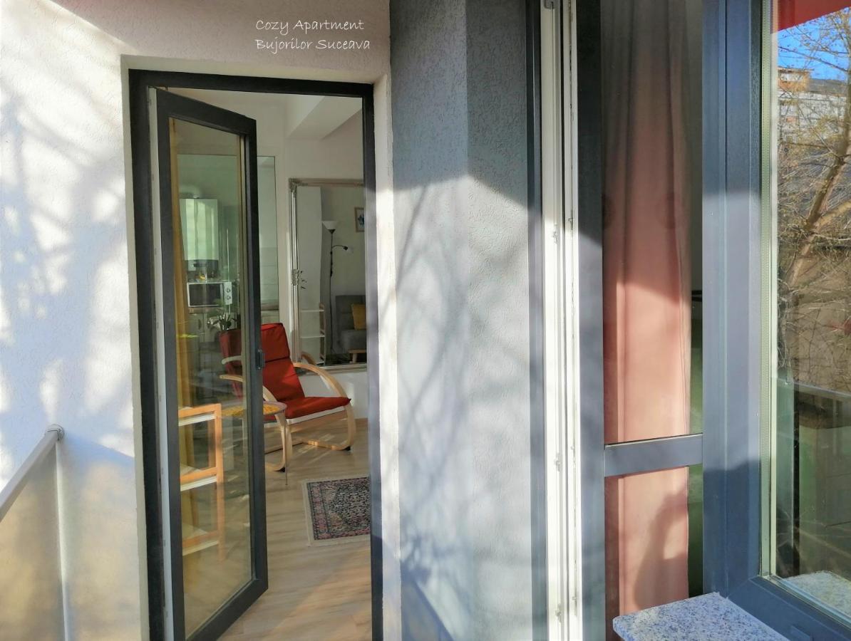 Cozy Apartment Bujorilor スチャヴァ エクステリア 写真