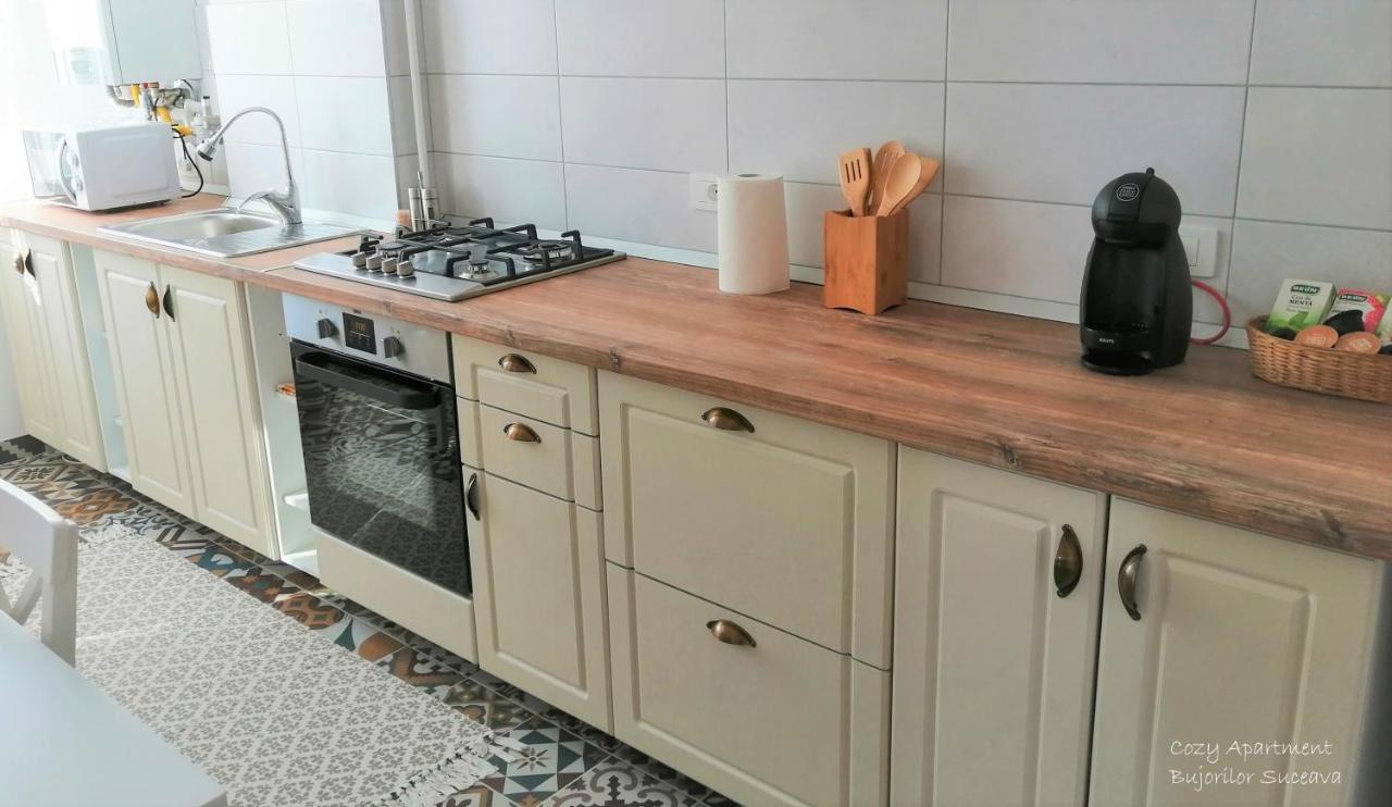 Cozy Apartment Bujorilor スチャヴァ エクステリア 写真