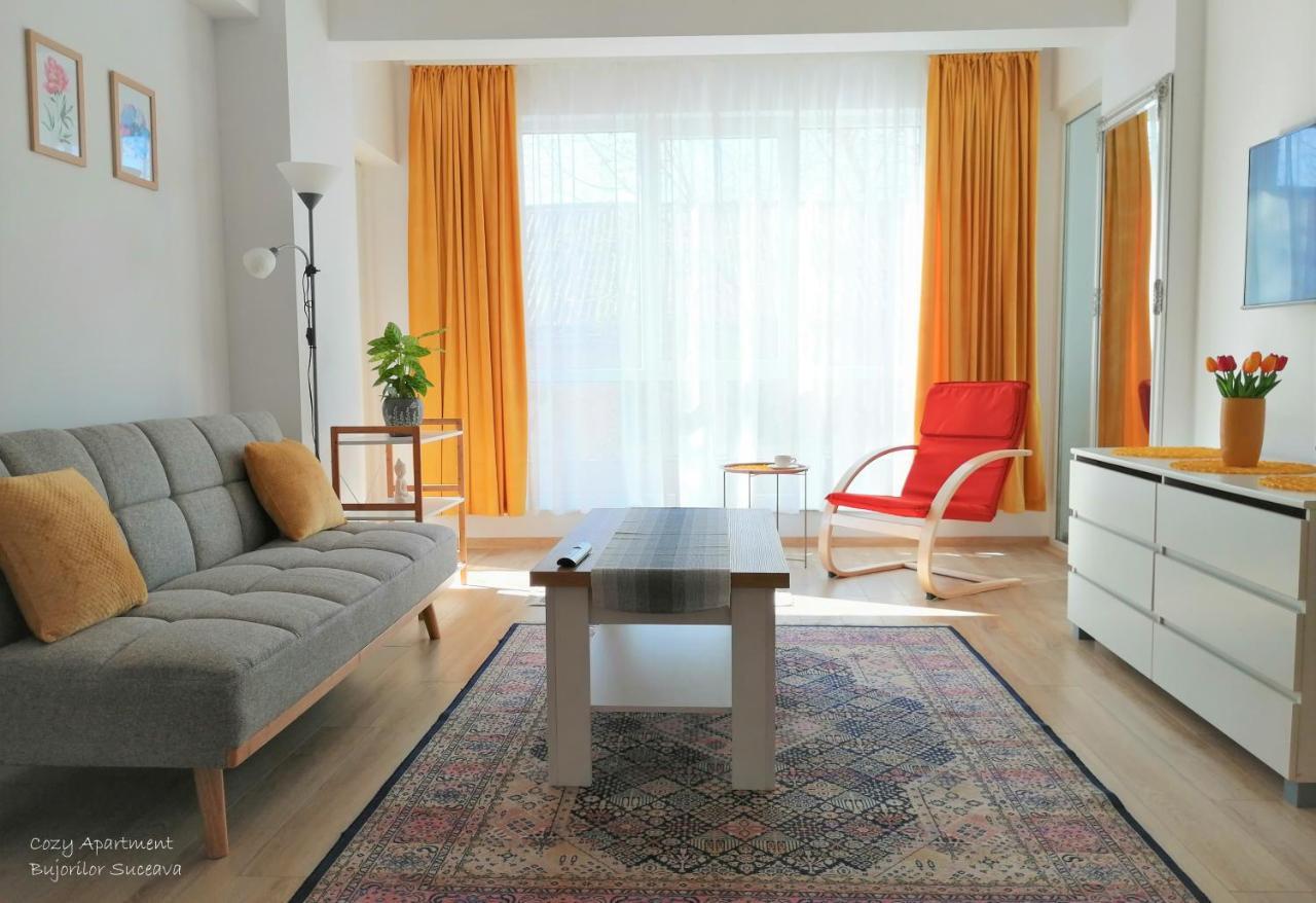 Cozy Apartment Bujorilor スチャヴァ エクステリア 写真