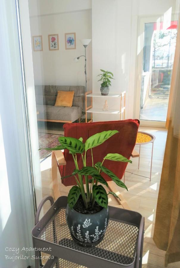 Cozy Apartment Bujorilor スチャヴァ エクステリア 写真