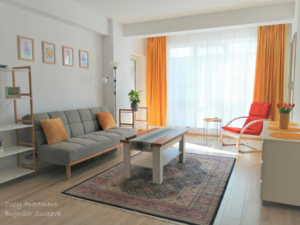 Cozy Apartment Bujorilor スチャヴァ エクステリア 写真