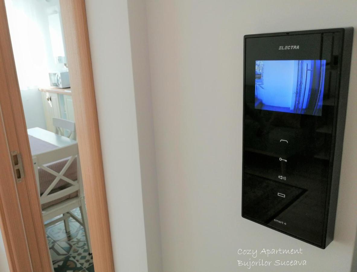 Cozy Apartment Bujorilor スチャヴァ エクステリア 写真