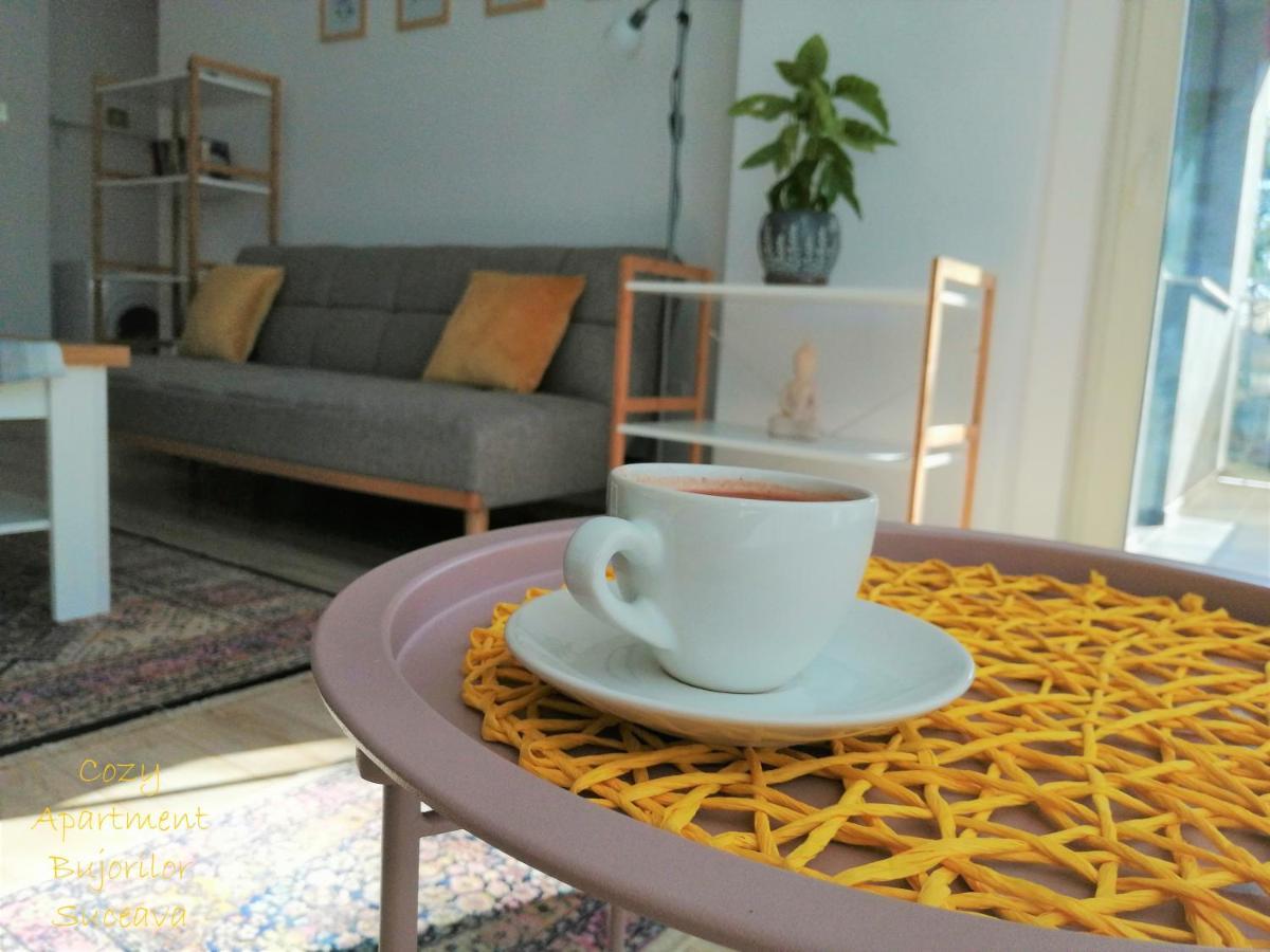 Cozy Apartment Bujorilor スチャヴァ エクステリア 写真