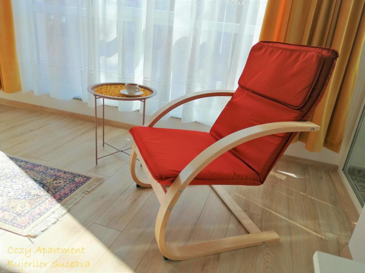 Cozy Apartment Bujorilor スチャヴァ エクステリア 写真