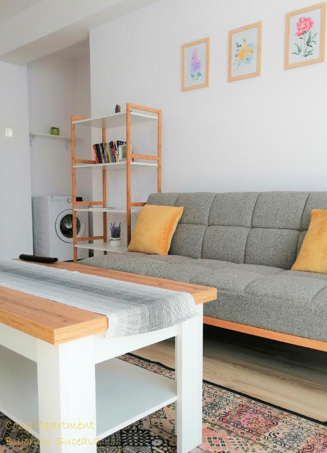 Cozy Apartment Bujorilor スチャヴァ エクステリア 写真