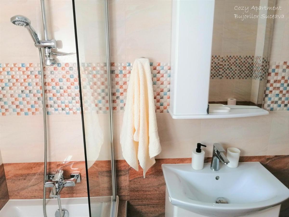 Cozy Apartment Bujorilor スチャヴァ エクステリア 写真