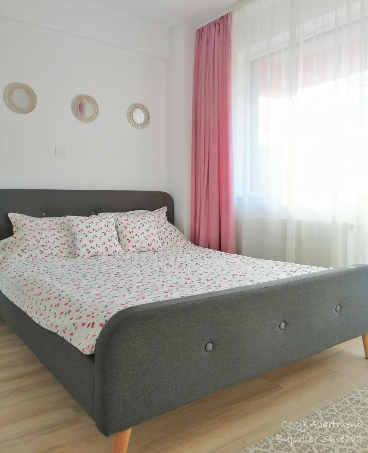 Cozy Apartment Bujorilor スチャヴァ エクステリア 写真