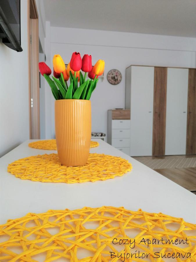 Cozy Apartment Bujorilor スチャヴァ エクステリア 写真