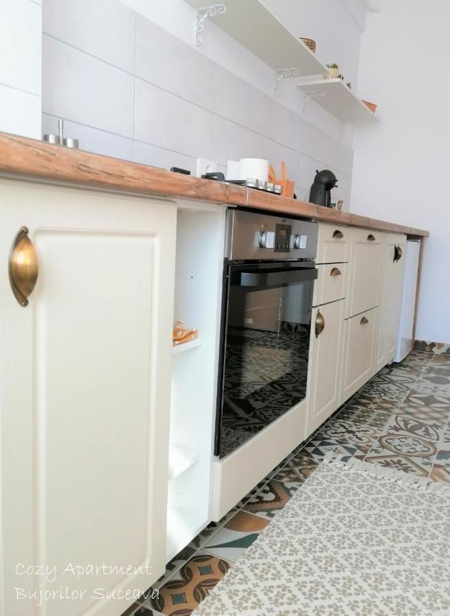 Cozy Apartment Bujorilor スチャヴァ エクステリア 写真