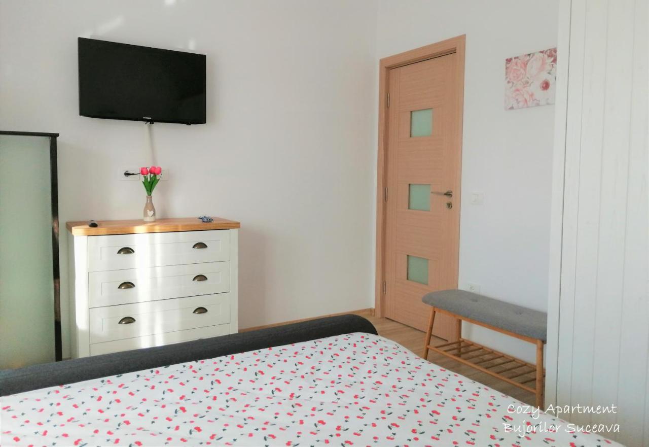 Cozy Apartment Bujorilor スチャヴァ エクステリア 写真