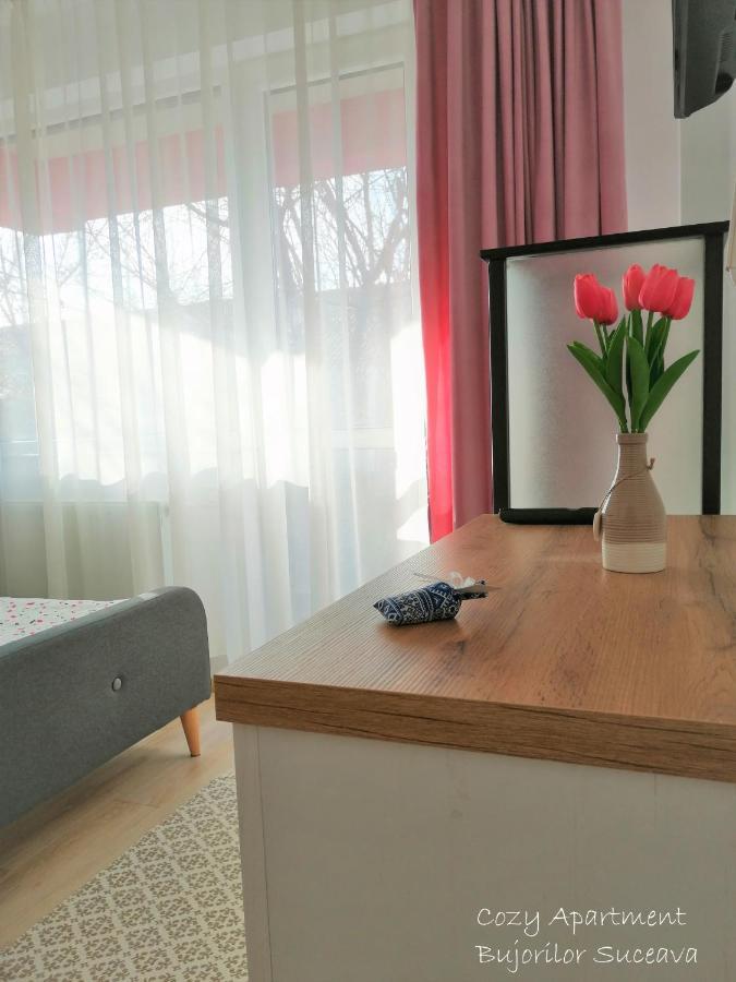 Cozy Apartment Bujorilor スチャヴァ エクステリア 写真