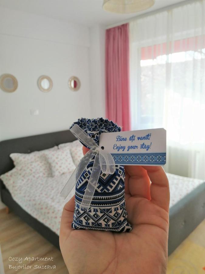 Cozy Apartment Bujorilor スチャヴァ エクステリア 写真