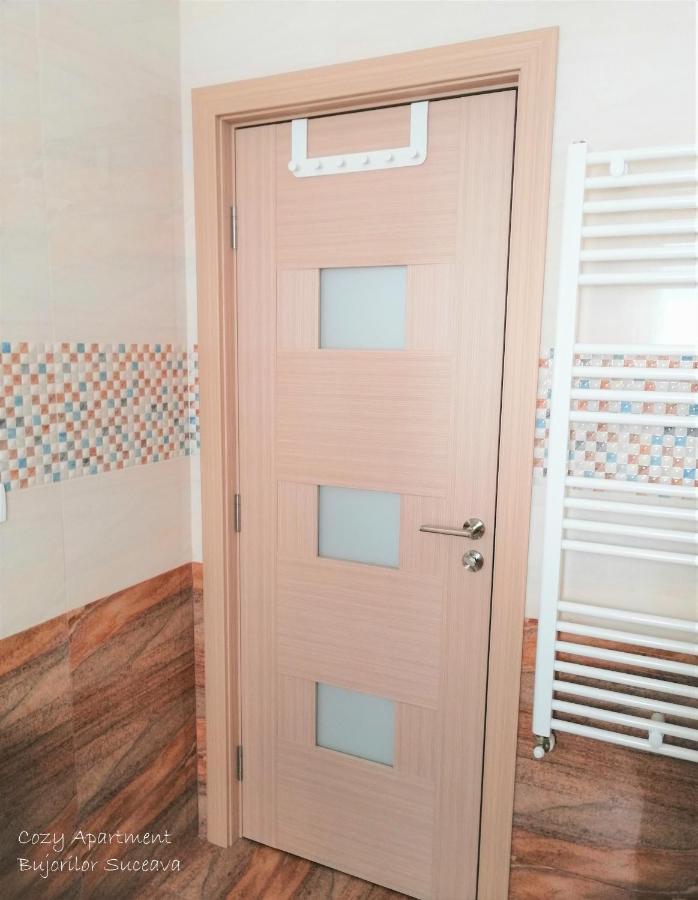 Cozy Apartment Bujorilor スチャヴァ エクステリア 写真