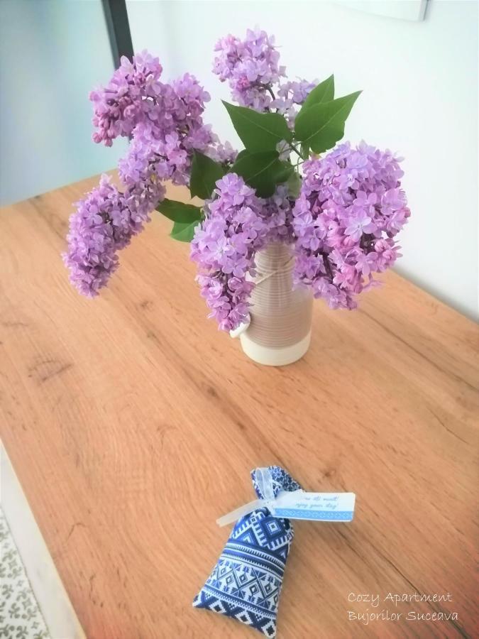 Cozy Apartment Bujorilor スチャヴァ エクステリア 写真