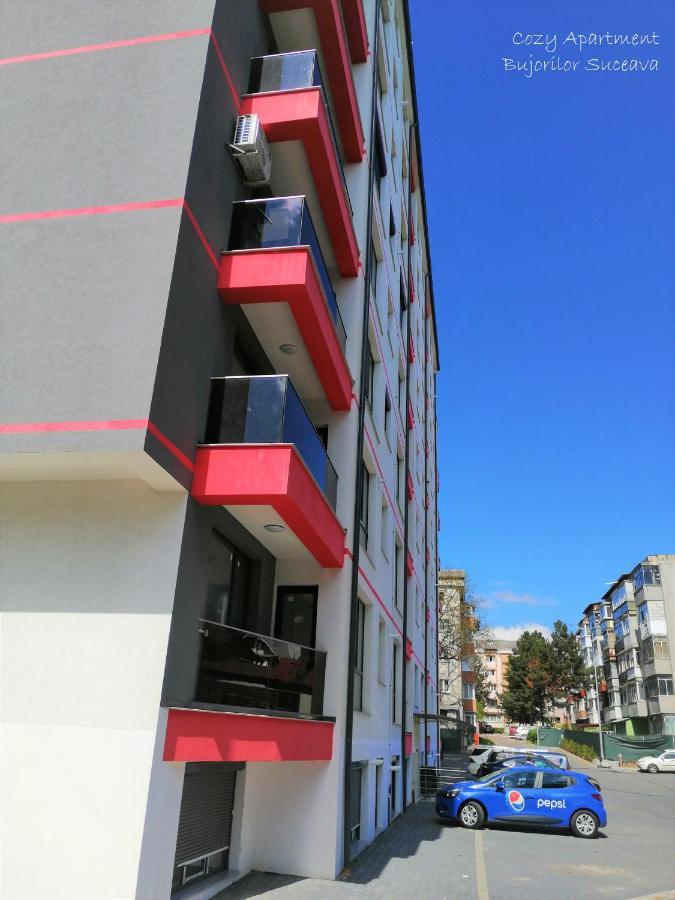 Cozy Apartment Bujorilor スチャヴァ エクステリア 写真