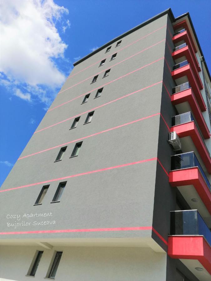 Cozy Apartment Bujorilor スチャヴァ エクステリア 写真