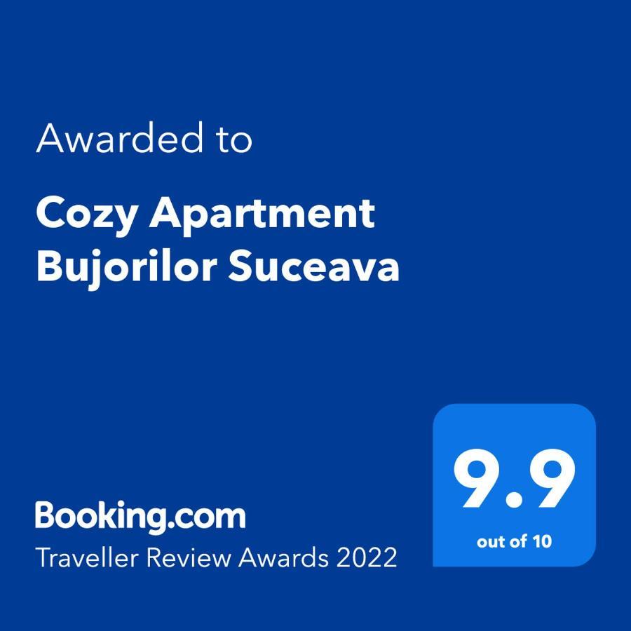 Cozy Apartment Bujorilor スチャヴァ エクステリア 写真
