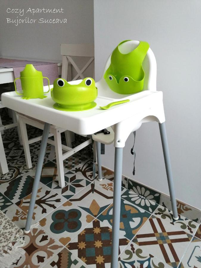 Cozy Apartment Bujorilor スチャヴァ エクステリア 写真