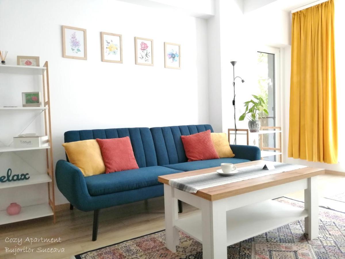 Cozy Apartment Bujorilor スチャヴァ エクステリア 写真