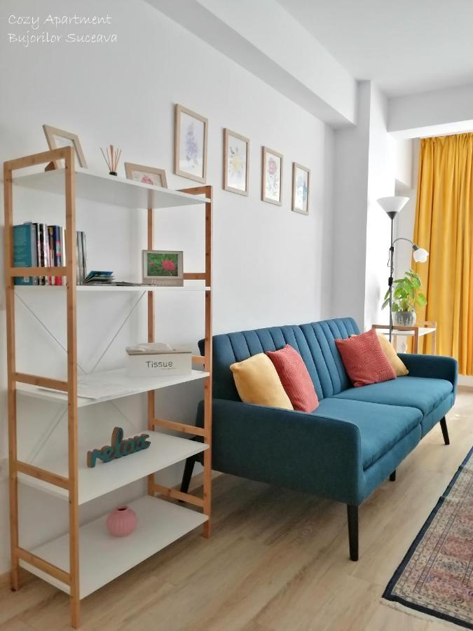 Cozy Apartment Bujorilor スチャヴァ エクステリア 写真